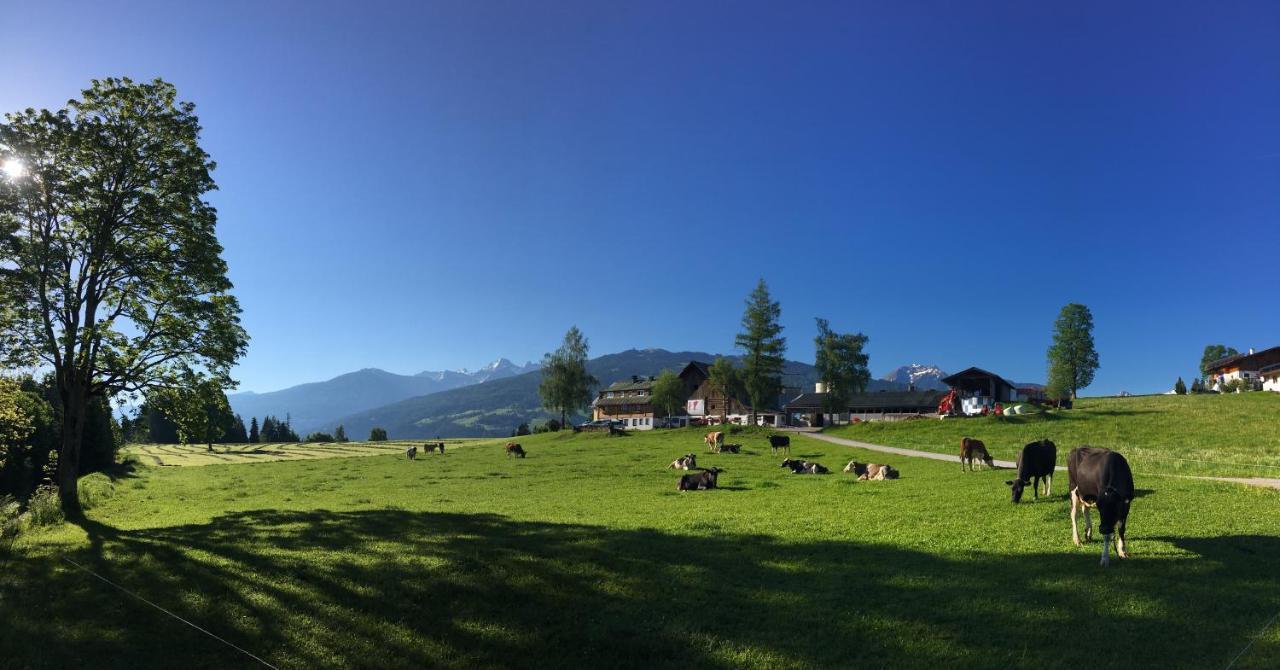 Aparthotel Burglehnerhof Ramsau am Dachstein Exterior foto