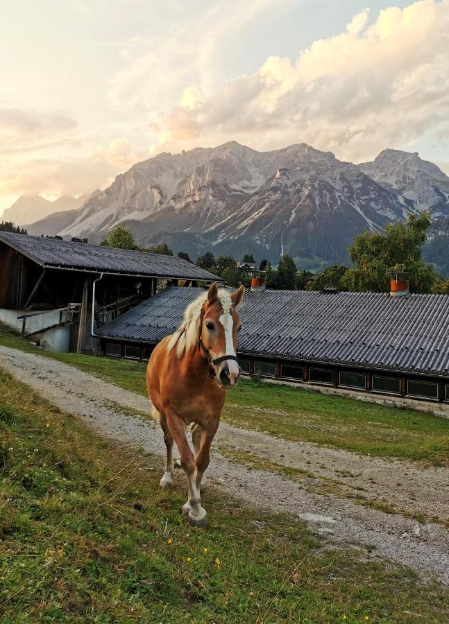Aparthotel Burglehnerhof Ramsau am Dachstein Exterior foto